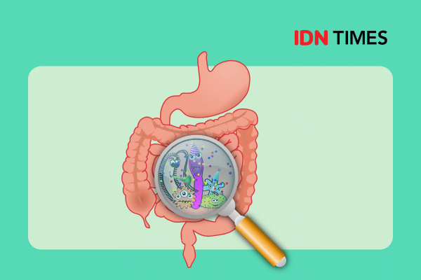 7 cara meningkatkan kesehatan usus besar, jangan diabaikan